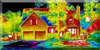 Thermal home image
